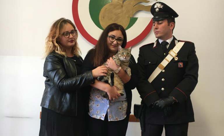 Chiede riscatto per restituire il gatto, donna arrestata per estorsione