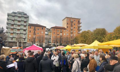 Un successo la tradizionale fiera di San Martino a Cuorgnè | FOTO