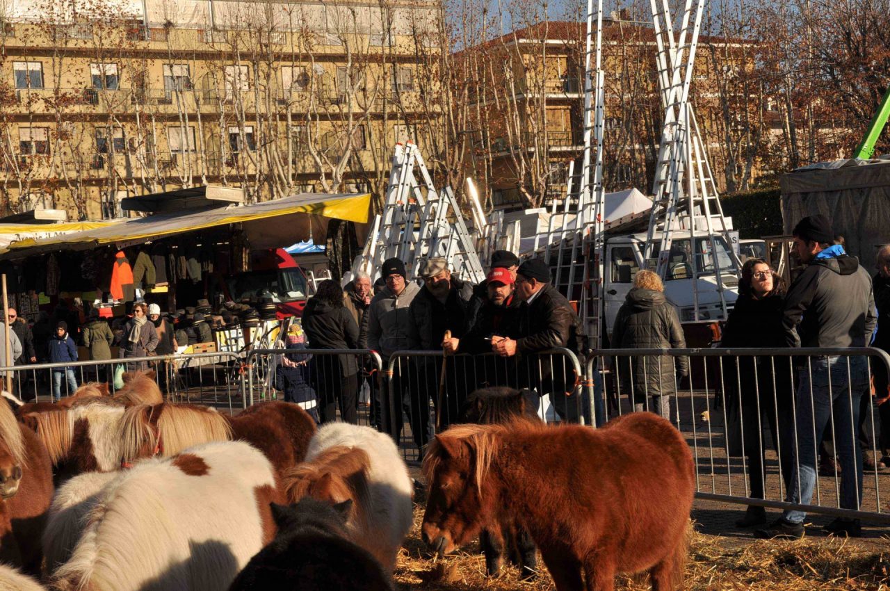 “Fiera di Sant’Andrea” domani a Caselle