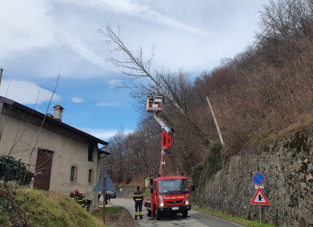 Coassolo: albero pericolante sulla strada