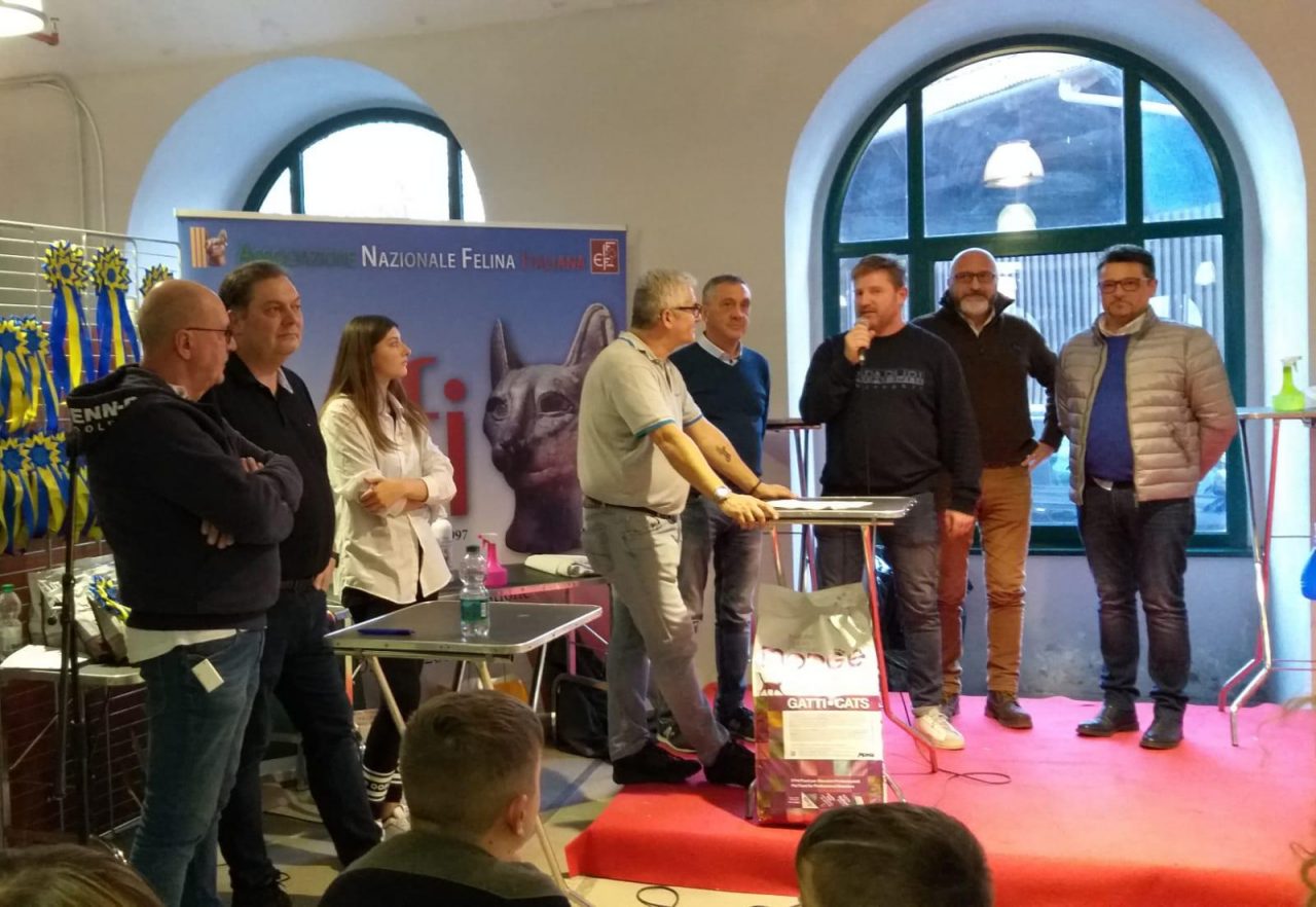 Successo per la terza esposizione internazionale felina a Cuorgnè | FOTO