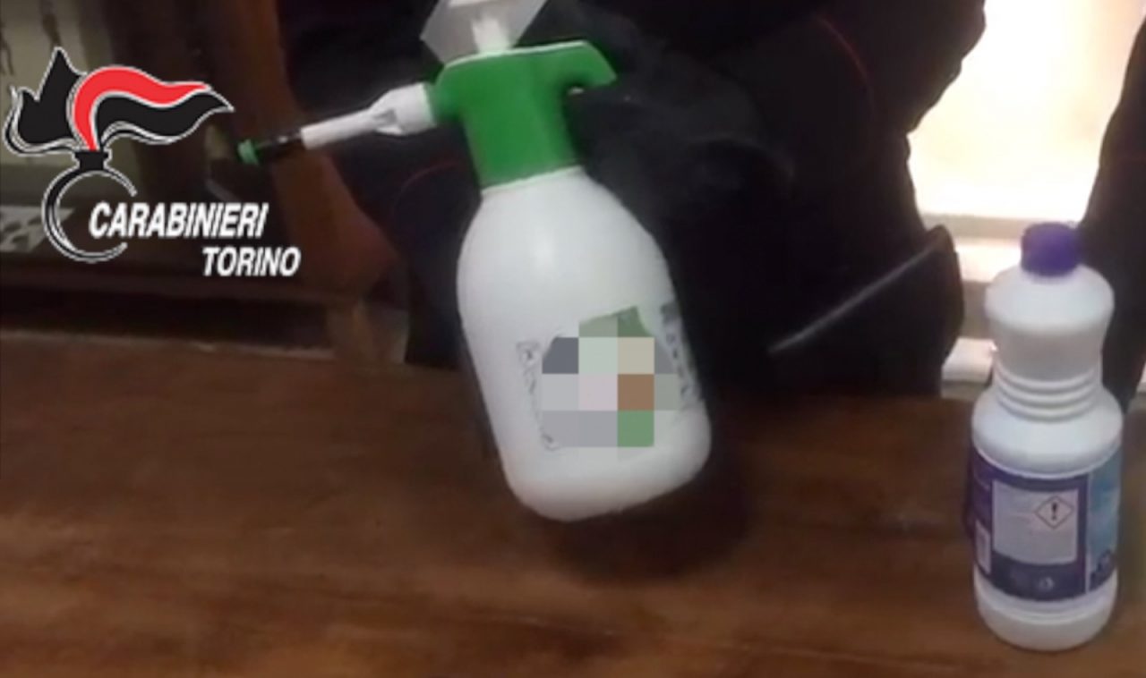 Spray all’ammoniaca per compiere i furti, arrestati dai carabinieri cinque sinti