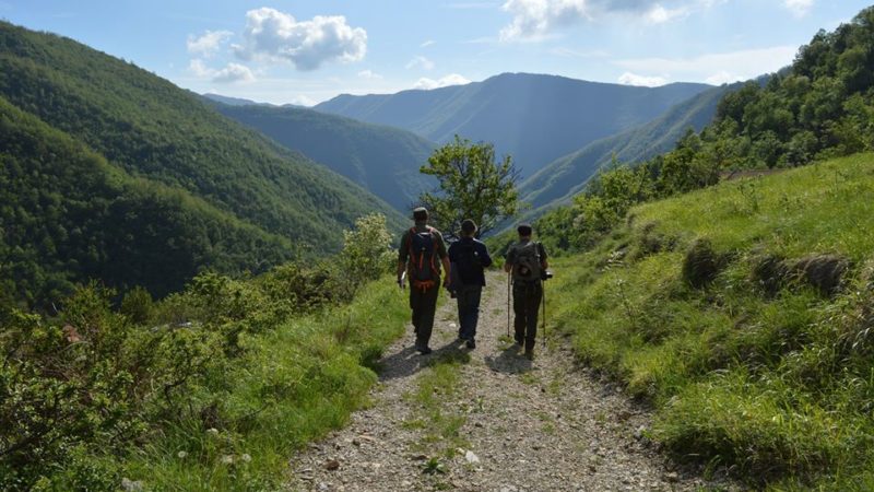 Lavoro Piemonte concorso pubblico per 4 posti di guardiaparco