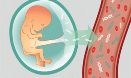 Test del Dna (Nipt test) gratuito per tutte le donne incinte, la richiesta di Liberi Uguali in Regione Piemonte