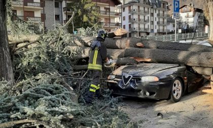 Tromba d'aria in Val di Susa, tetti scoperchiati e alberi abbattuti | FOTO