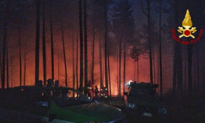 Incendio boschivo al Almese, diverse squadre dei vigili del fuoco impegnate | FOTO