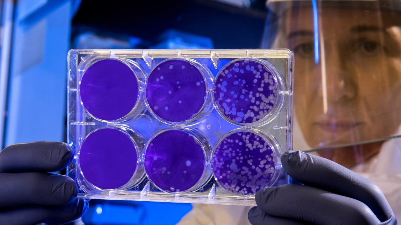 Coronavirus, positivo dipendente Comdata, sanificati gli uffici l’attività prosegue