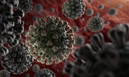 Coronavirus in alto Canavese: due casi confermati a Bosconero