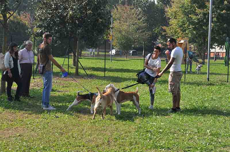 Spesa a domicilio per “Fido”