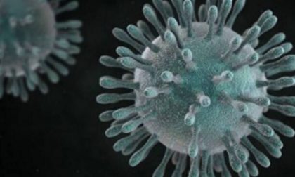 Coronavirus in Piemonte: 26mila pazienti guariti e 12 nuovi contagi
