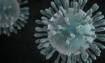 Emergenza Coronavirus: a Rivarolo attualmente 12 cittadini positivi