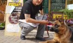 Fa fare la pipì al suo cane mentre torna dal lavoro in auto: 400 euro di multa