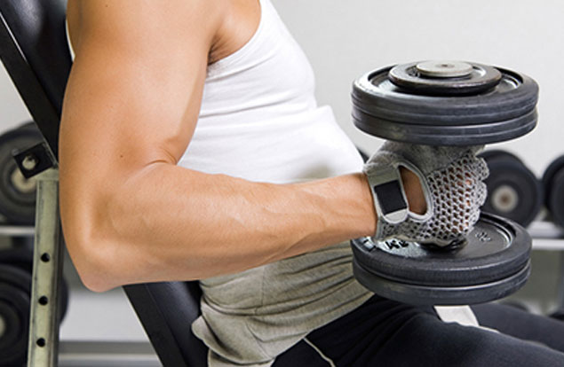 Palestra aperta in barba al divieto