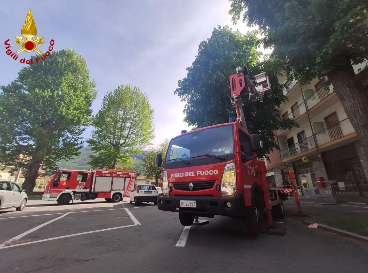 Ramo pericolante rimosso dai vigili del fuoco