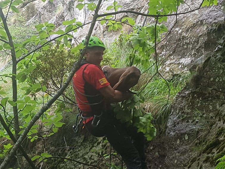 Il Soccorso Alpino mette in salvo tre cani
