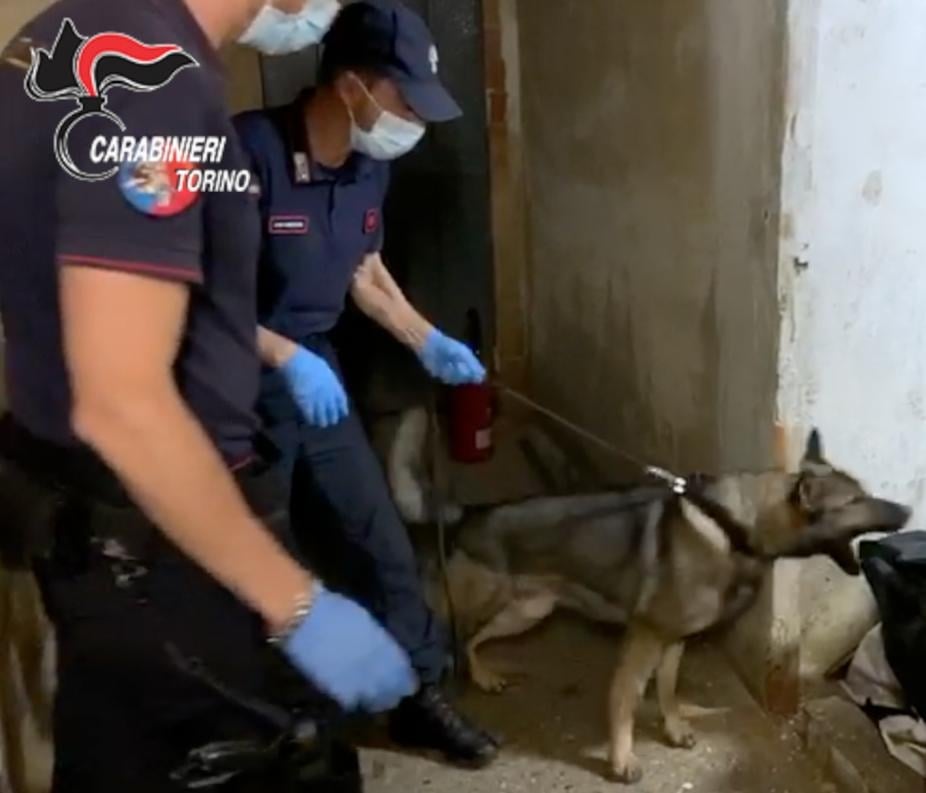 Trovato fortino della droga a Lombardore. Un 27enne nei guai