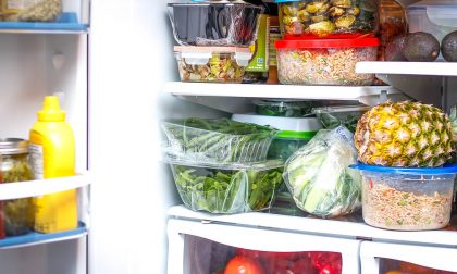 Sicurezza alimentare in estate: come conservare i cibi ed evitare rischi