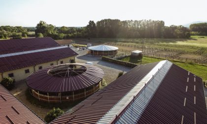 Riparte anche lo sport equestre: il Centro Equestre Arione organizza nuovi appuntamenti