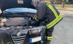 Gattino incastrato nel vano motore, salvato da pompieri e consigliere comunale