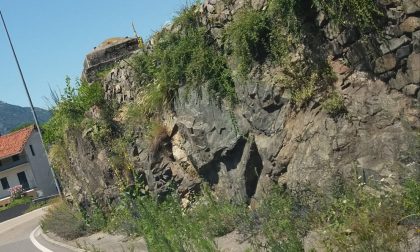 Via Aosta in stato di abbandono, marciapiedi invasi dalle erbacce | FOTO