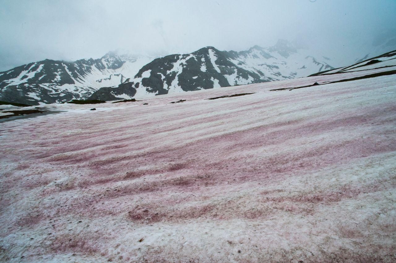 “Neve anguria” in Valle Orco: le immagini del fenomeno | FOTO
