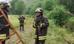 Capriolo recuperato e portato in salvo a Pont Canavese