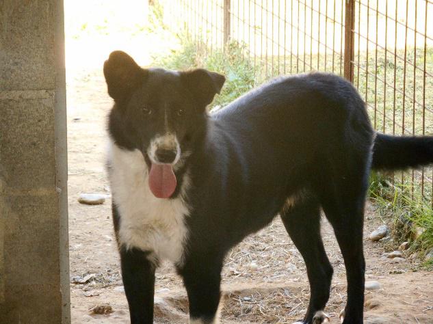 Tom ha una nuova casa, niente tasse per il suo padrone
