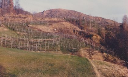 Le Terre di Vespia entrano nella Riserva Naturale dei Monti Pelati