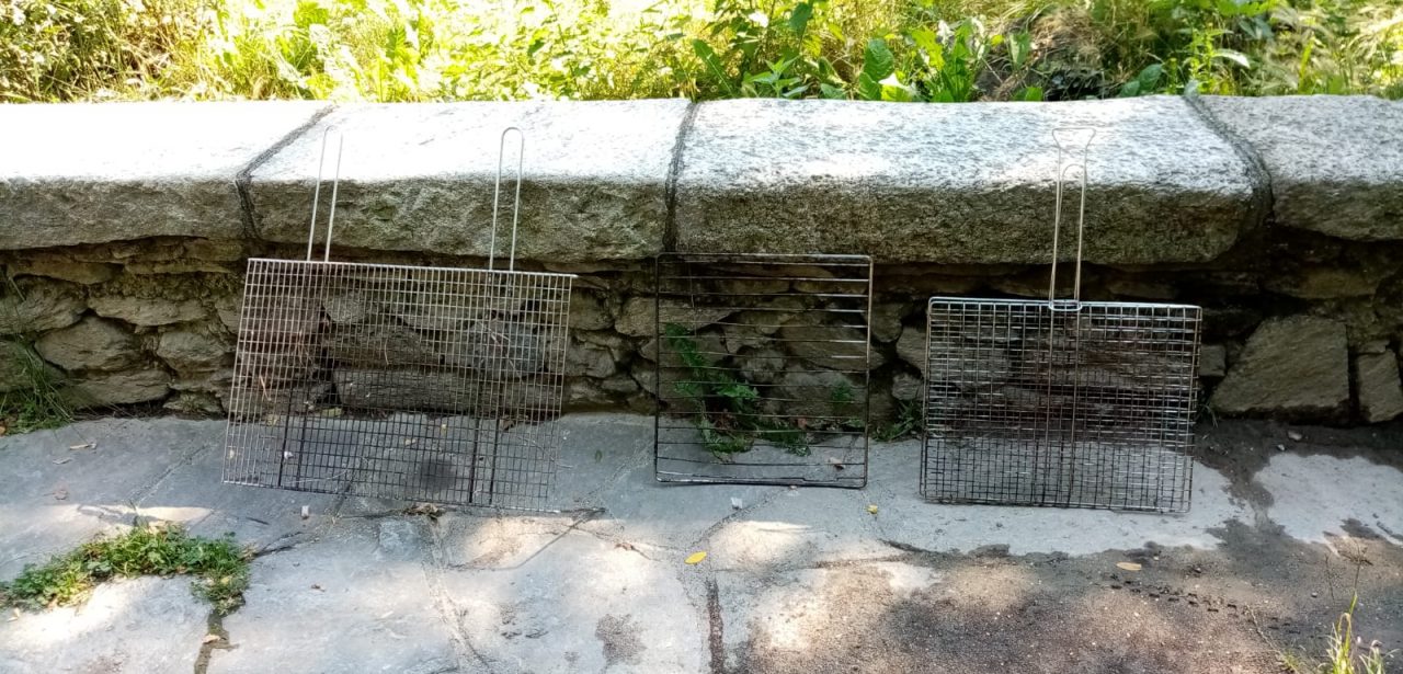 Sfuma il barbeque: sequestrate le griglie