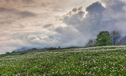 Fantasmi e campane: i misteri di Castelnuovo Nigra