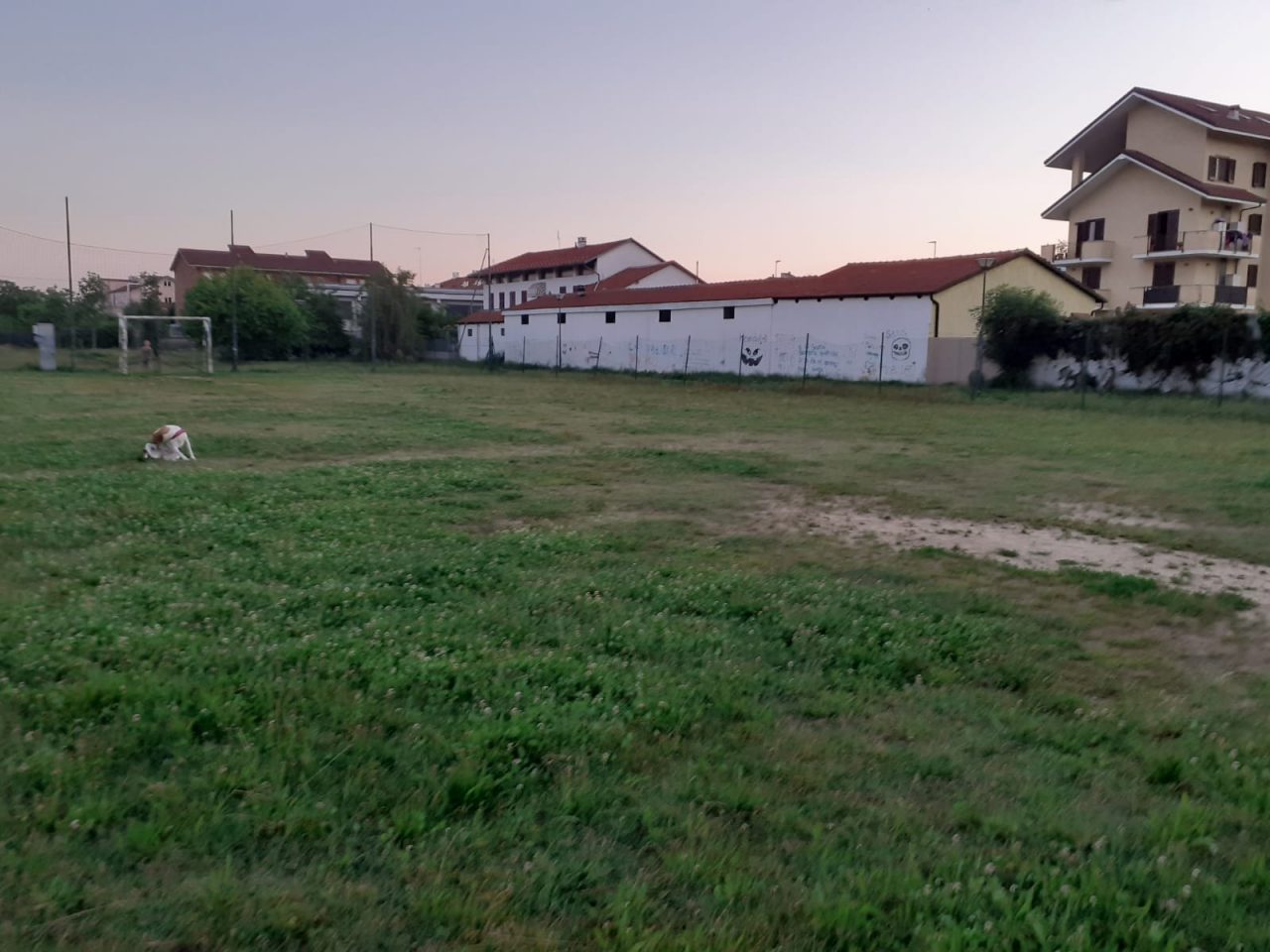 Ciriè, partita la petizione: «Chiediamo un’area cani nella zona Sant’Agostino»