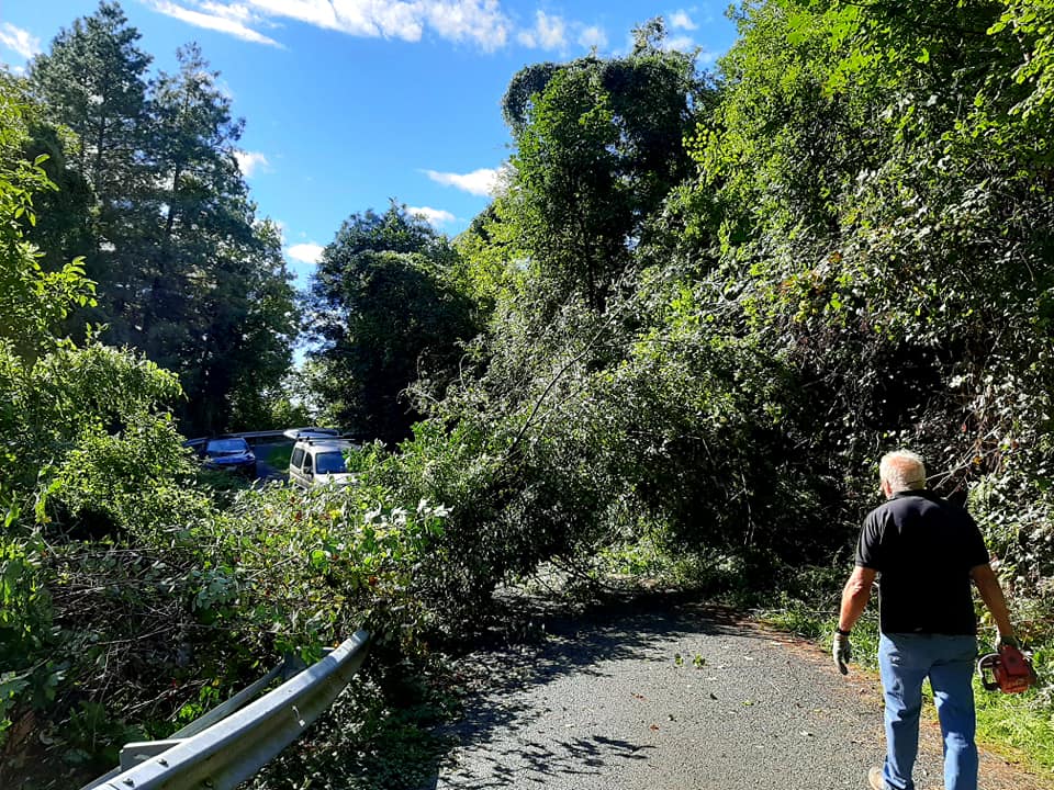 Albero cade in strada, borgata isolata. Tra i residenti anche un 83enne (LE FOTO)