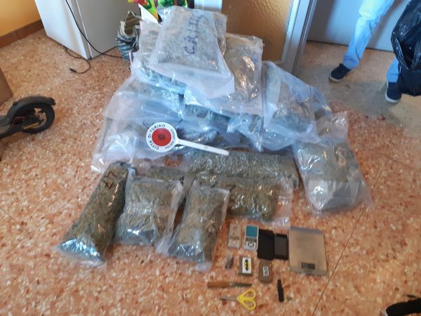 In un alloggio occupato abusivamente la Municipale trova 22kg di “Maria”