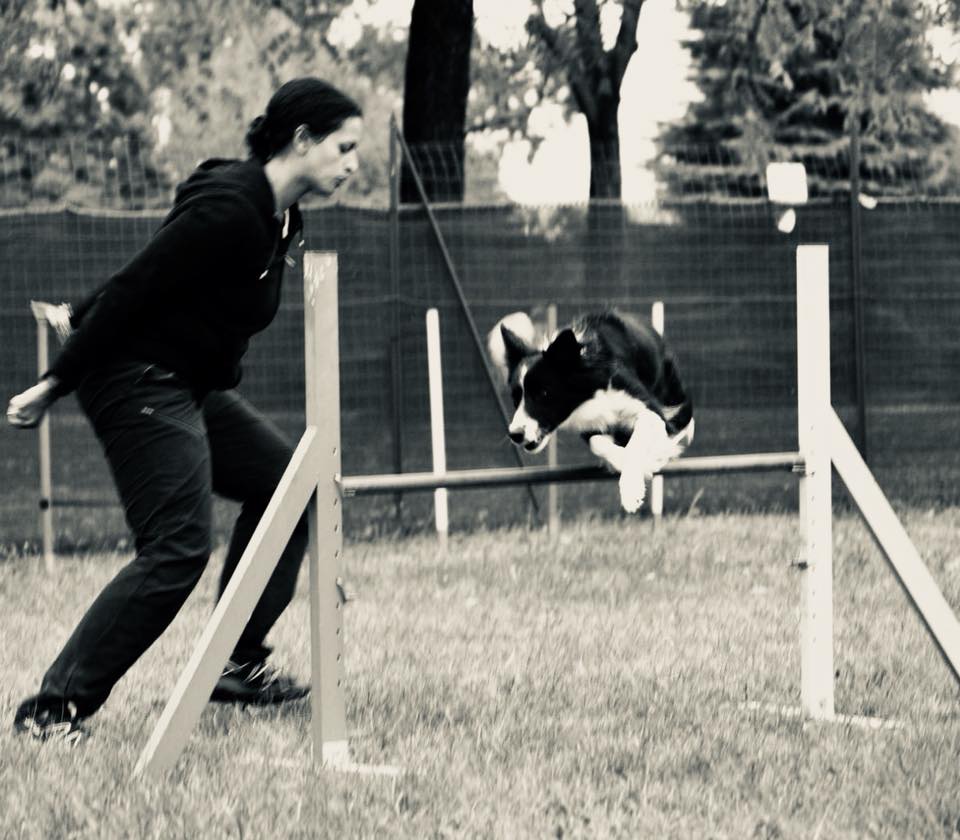 Giornata internazionale del cane, l’assessore rivarolese Helen Ghirmu: “La storia dell’uomo non sarebbe tale se non ci fosse stato il cane”