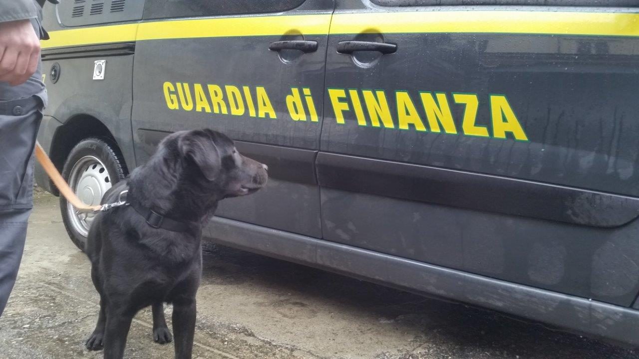 Nella valigia smarrita 2,5 milioni di euro falsi
