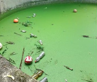 Bambino dentro una vasca di liquami, tragedia sfiorata