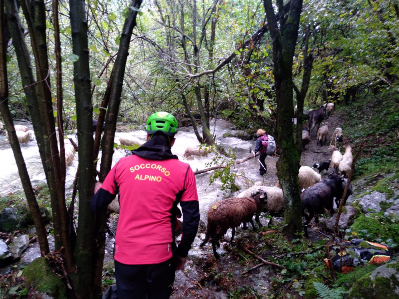 Soccorso Alpino in aiuto di un pastore impegnato nella transumanza