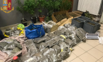 Serre artigianali e oltre 63 kg di droga: arrestati coltivatori di canapa