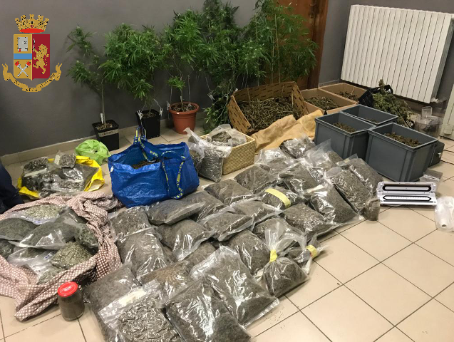Serre artigianali e oltre 63 kg di droga: arrestati coltivatori di canapa