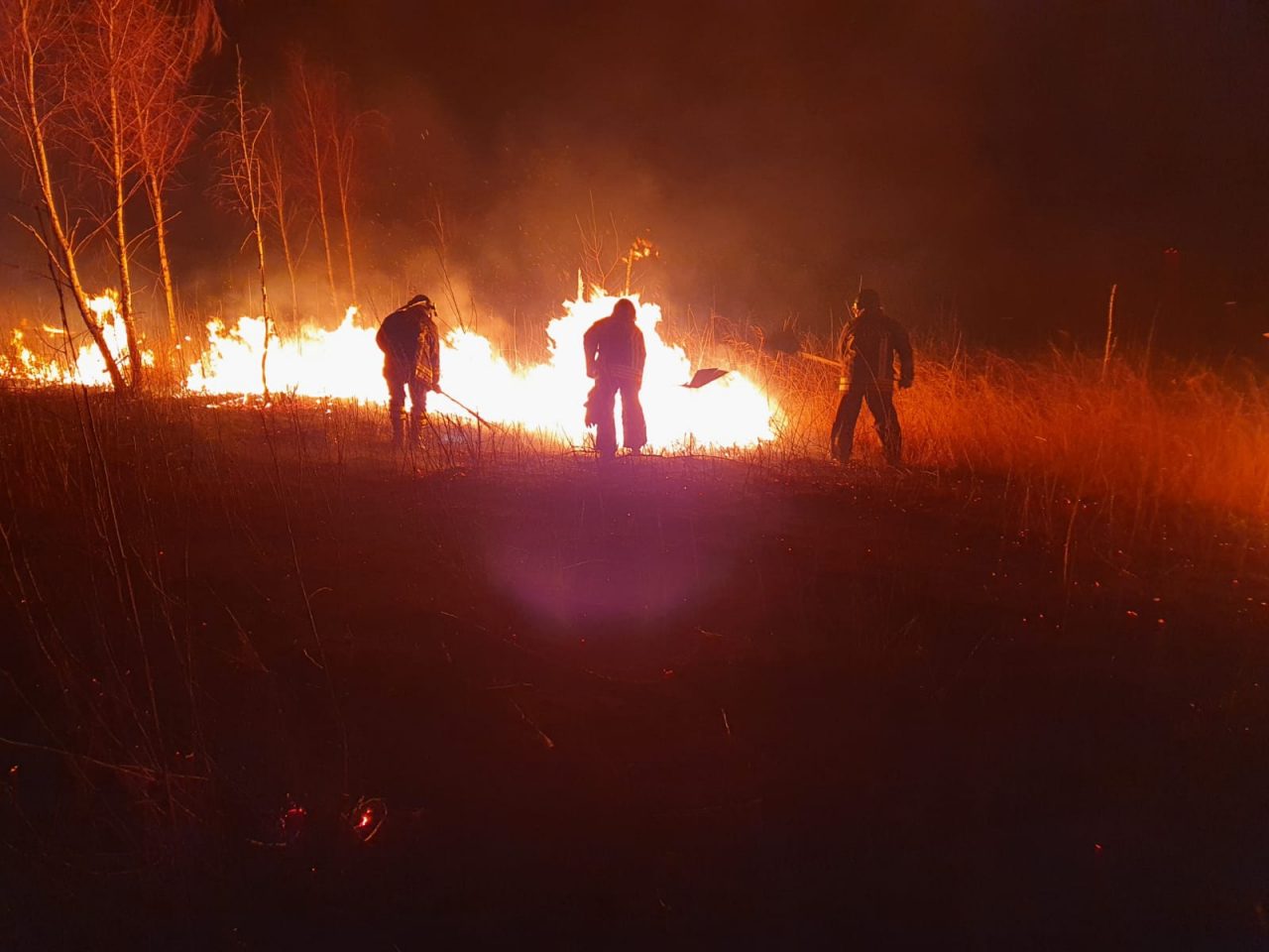 San Carlo: un chilometro di fiamme nella zona del Poligono