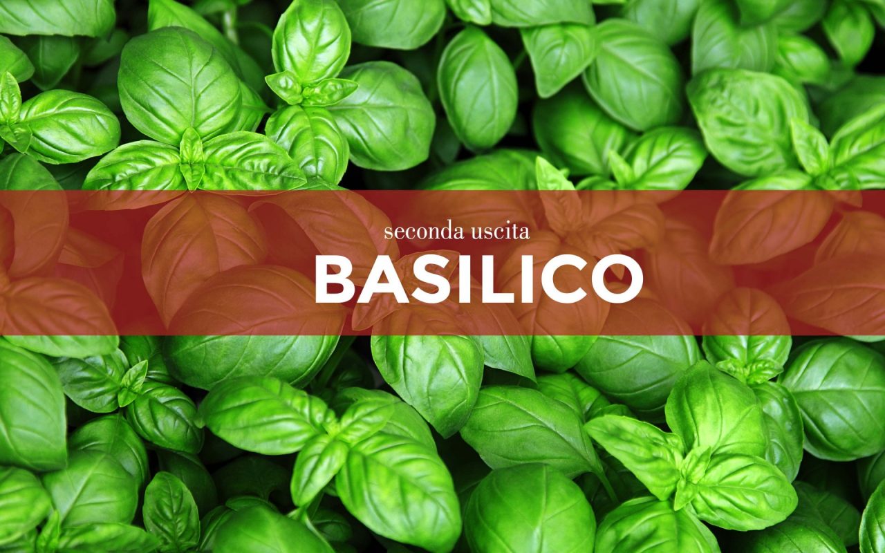 Tutti ortisti: in edicola da oggi con i nostri giornali i semi di basilico
