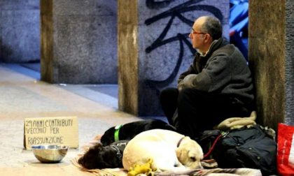 Animali strappati ai senzatetto: la risposta di ENPA Torino
