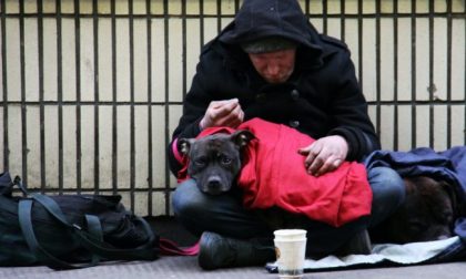 Il regolamento comunale “odia” gli animali e fa la guerra agli homeless? No, l’Appendino non ci sta