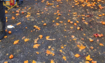 Nei giorni del Carnevale altra battaglia delle arance, condomini multati dalla Polizia