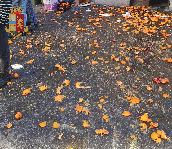 Nei giorni del Carnevale altra battaglia delle arance, condomini multati dalla Polizia