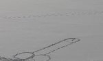 Sfida la sorte per disegnare un pene sul lago ghiacciato, un gesto incosciente