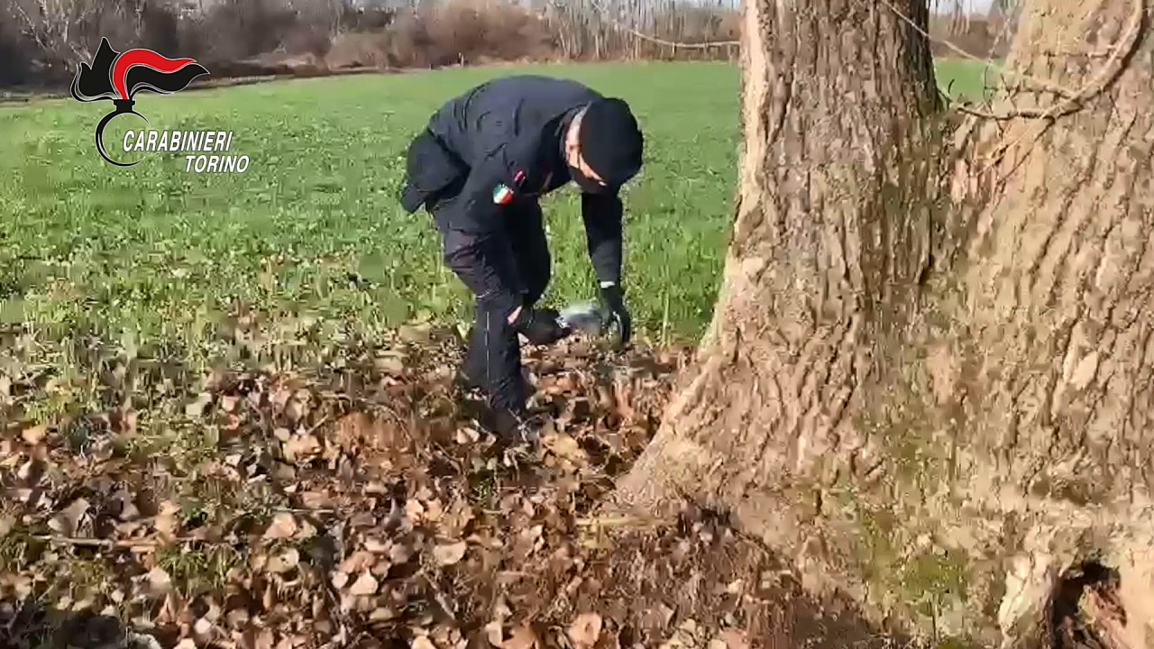 Due pistole abbandonate ritrovate in due terreni in Canavese