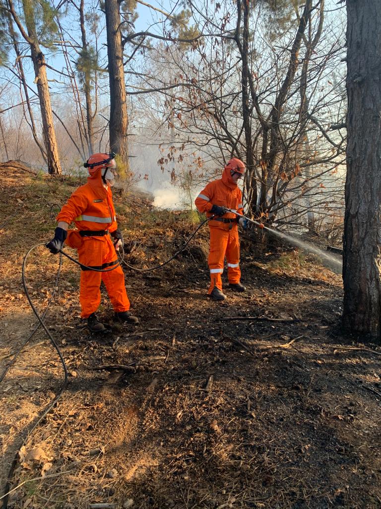 In fiamme i boschi tra Rocca e Levone