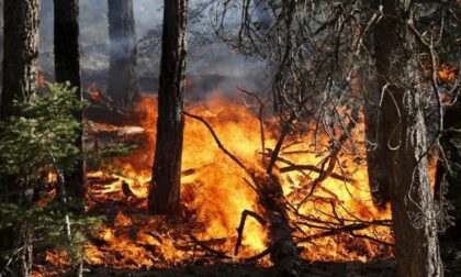 Massima pericolosità incendi boschivi, ecco i divieti