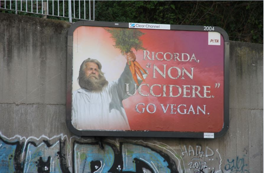 Pasqua vegani al Papa: Non uccidete gli agnelli